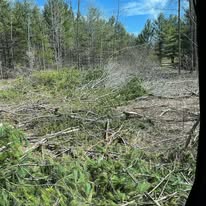 Land Clearing